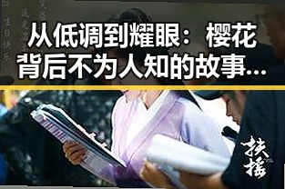 从低调到耀眼：樱花背后不为人知的故事与娱乐圈的隐秘角落