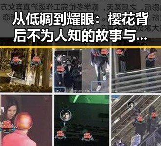 从低调到耀眼：樱花背后不为人知的故事与娱乐圈的隐秘角落
