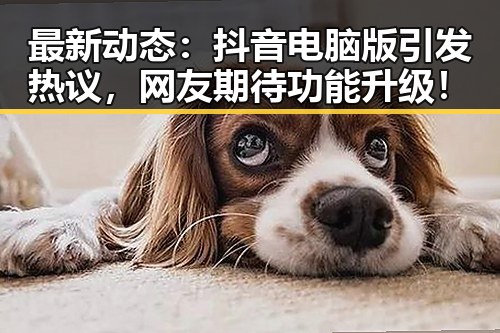 最新动态：抖音电脑版引发热议，网友期待功能升级！